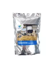 Bestermine Power Drink mieszanka paszowa mineralno-witaminowa De Heus 1kg