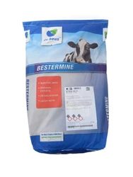 Bestermine Bufor mieszanka paszowa mineralno-witaminowa De Heus 25kg